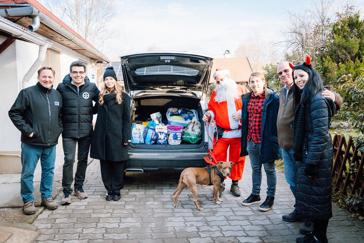 Mikulás napi meglepetés